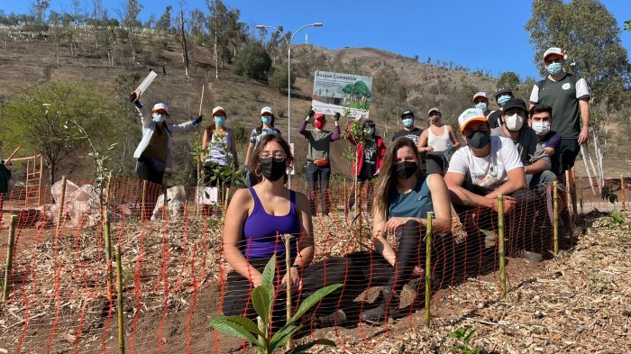 Bosques comestibles: La iniciativa de egresados de la U. de Chile para enfrentar el cambio climático