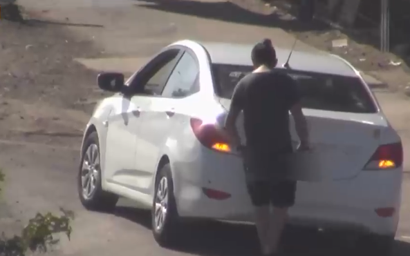 40 mil autos al día: Alarma por aumento de patentes ocultas