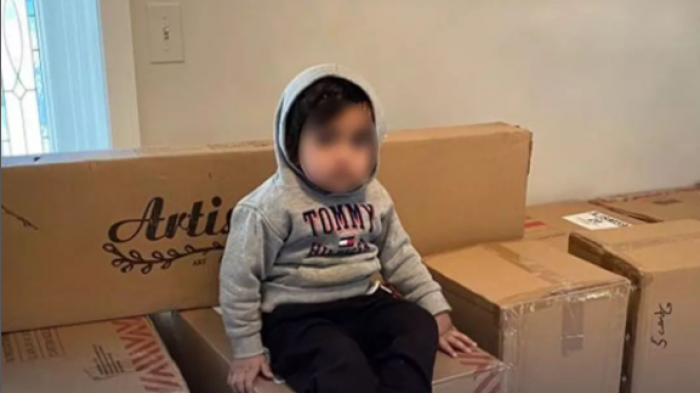 Niño de 2 años tomó el celular de su mamá para jugar y compró una docena de sillas por 1.700 dólares