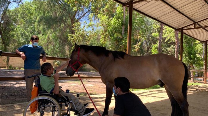 Aporta beneficios fisioterapéuticos y psicológicos: Pequeño Cottolengo inaugura área con terapia ecuestre
