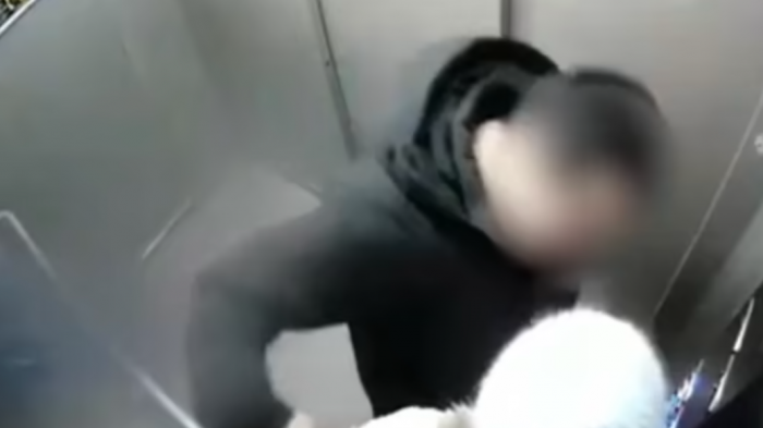 Padre protagonizó golpiza a sujeto que intentó abusar de su hija en un ascensor