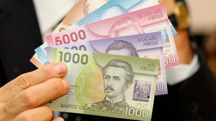 PGU comenzará a pagarse en febrero: ¿Se incluirá a rentas vitalicias y a pensionados por invalidez?