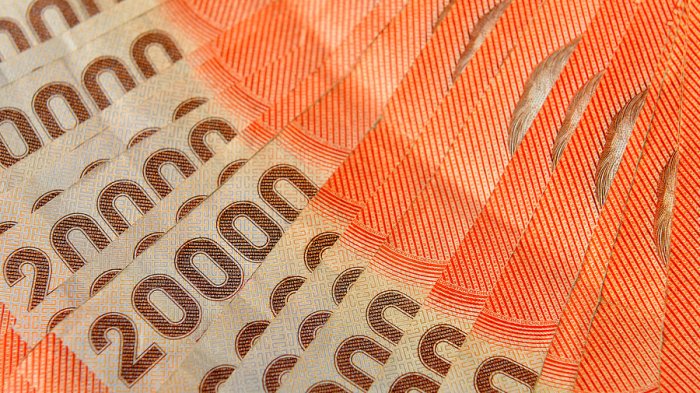 Pensión Garantizada Universal (PGU): ¿Cuáles son los montos y cuándo comenzaría el pago?