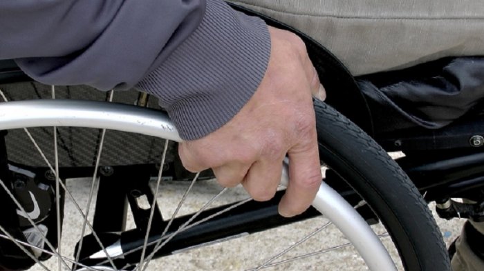 Ingresan iniciativa popular a la CC que busca derecho a la rehabilitación para personas con discapacidad