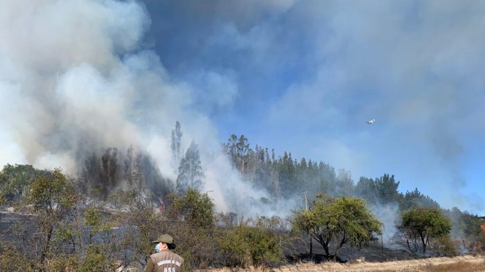 Incendio amenaza la Reserva Nacional de Peñuelas y declaran alerta roja: Las imágenes de la emergencia