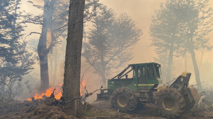 Tierra del Fuego en llamas: Lo que debes saber sobre el incendio que azota la mayor reserva mundial de carbono