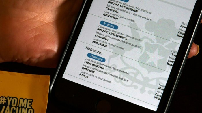 Desde febrero: ¿Quiénes arriesgan la inhabilitación del Pase de Movilidad por la dosis de refuerzo?