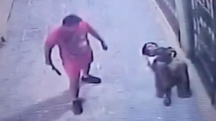 Con un palo: Dueño de supermercado le propinó una golpiza a hombre que intentó robarle