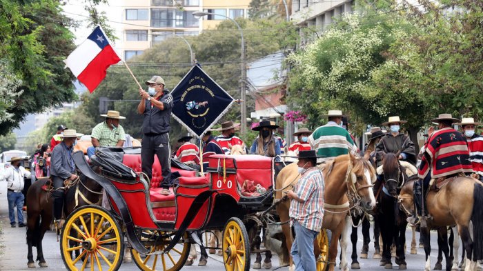 Alcaldesa Ripamonti acusó “falta de voluntad” de cocheros tras protesta en Viña del Mar