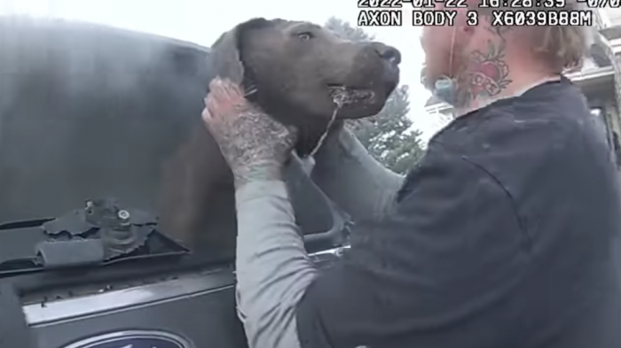 Salvó ileso: El angustiante rescate de un perro atrapado en auto incendiado