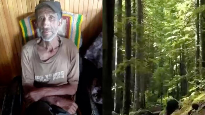 Hombre se perdió en un bosque y sobrevivió 11 días comiendo raíces