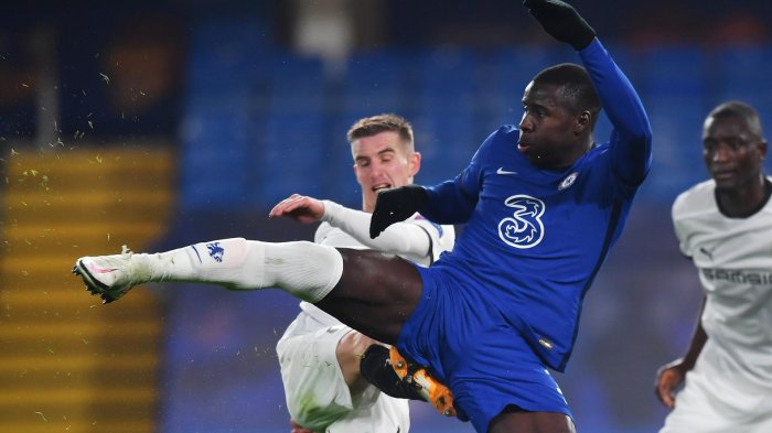 Organización animalista rescata a dos gatos luego de ser maltratados por jugador del West Ham United