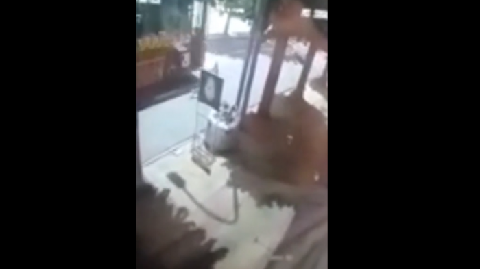 Estudiante saltó de una micro en movimiento y murió tras golpearse contra el cemento