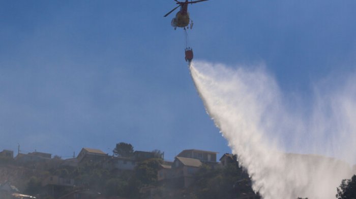 Declaran Alerta Roja para la comuna de Arauco por incendio forestal