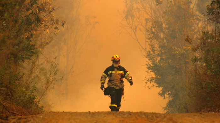 Verano en llamas: 10 incendios han destruido terrenos equivalentes a 155 veces el Parque O'Higgins