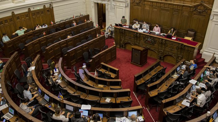 Nueva Constitución: Académicos explican puntos clave de los artículos aprobados en el primer día de votación