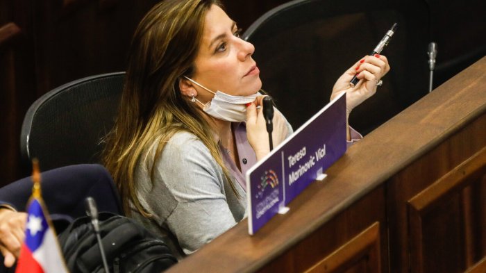 Twitter restringió cuenta de Teresa Marinovic por infringir normas: Convencionales acusan 