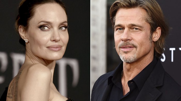 Brad Pitt demandó a Angelina Jolie por vender parte del viñedo donde celebraron su matrimonio