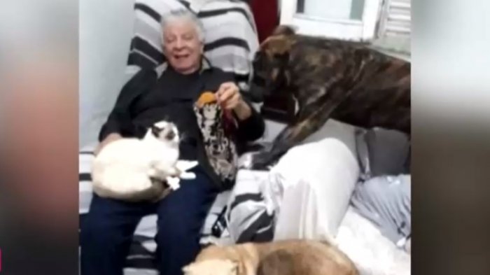 Adulto mayor busca reunirse con su perrita tras cuatro meses: No la dejaron viajar desde Argentina