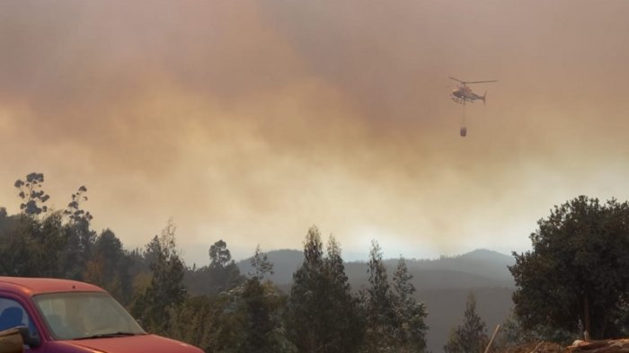 Decretan Alerta Roja en Penco y Tomé por incendio forestal: Fuego amenaza a viviendas