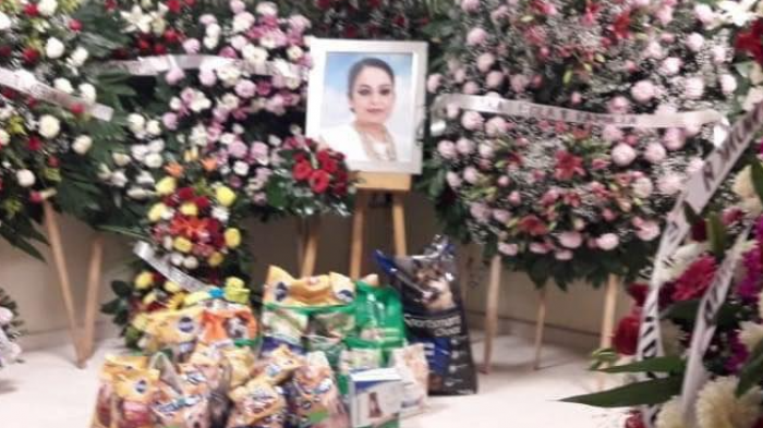 Cumplieron su último deseo: Mujer pidió que asistentes a su velorio llevaran comida para animales y no flores