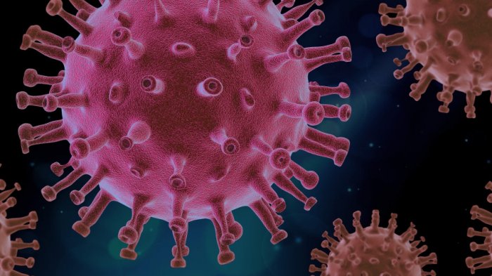 Inmunidad al COVID-19 a dos años del primer caso: ¿Por qué algunas personas no se han contagiado?