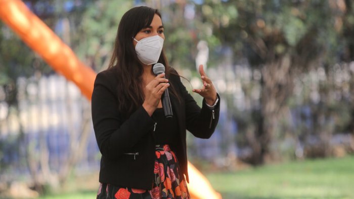 Izkia Siches no descarta renovar Estado de Excepción en macrozona sur : 