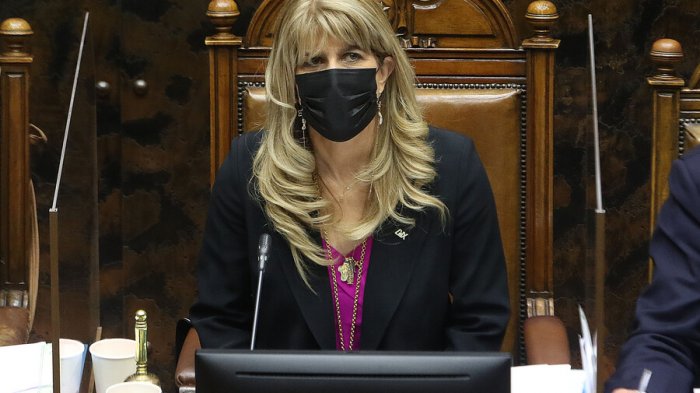 Rincón adelanta que no aprobará la nueva Constitución “si camina en la línea de lo que ha ido dibujándose”