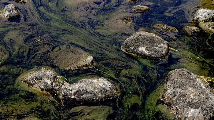 Crisis del agua en la Patagonia: Decreto de escasez hídrica involucra al 61% de los habitantes de Aysén