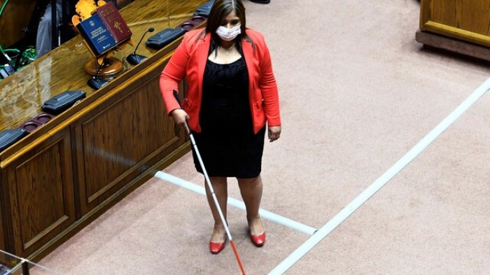 Emilia Schneider, Fabiola Campillai, Hotuiti Teao y más: Los nuevos rostros que asumieron en el Congreso