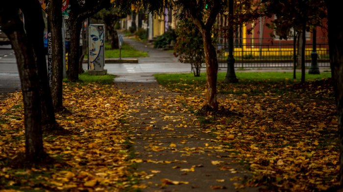 Adiós verano: ¿Cuándo llega el otoño a Chile y qué día se debe cambiar la hora?