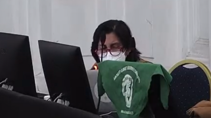 Intervención de convencional Loreto Vidal por derechos sexuales emocionó en el pleno: 