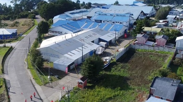 Chiloé: Estudiante de 14 años fue formalizado tras apuñalar a un compañero de curso