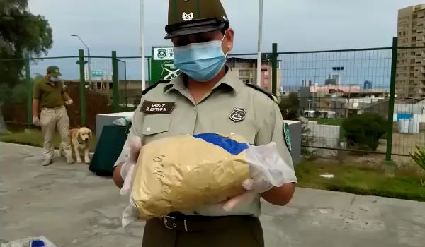 Encontraron 294 kilos de drogas escondidas en camión que transportaba cebollas en el norte