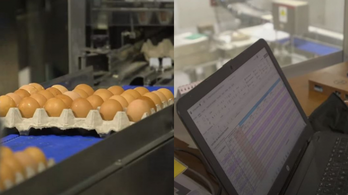 Digitalizados 4, capítulo 3: Huevos La Castellana inicia su camino hacia la transformación digital