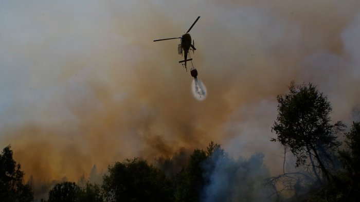 Viento y rápida propagación del fuego: Alerta Roja para la comuna de Vichuquén por incendio forestal