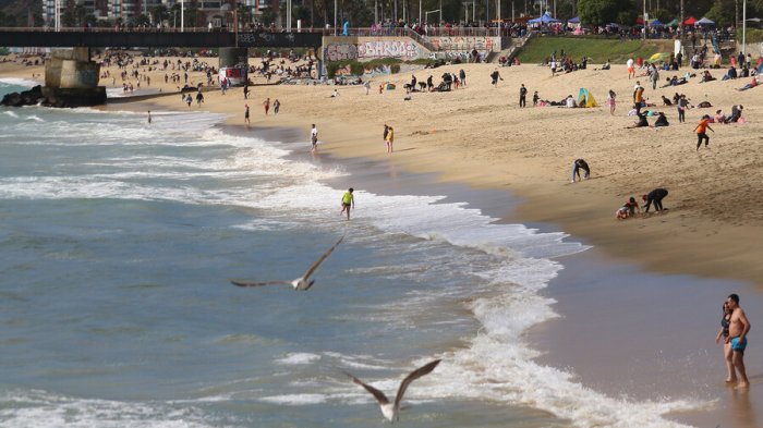 Desalinización del agua: ¿Cuál es su real impacto en el medio ambiente?