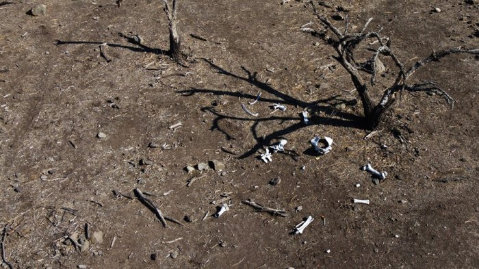 Más de 230 comunas: Ministerio de Agricultura extiende decreto de Emergencia Hídrica en cinco regiones