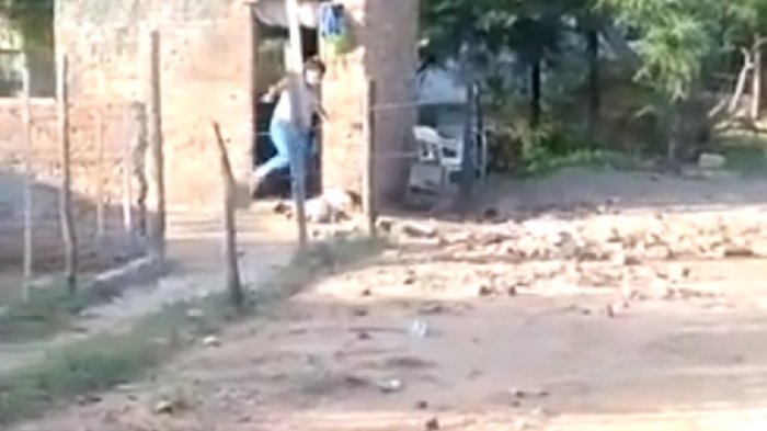 Mujer es detenida tras ser captada pegándole una patada en la cabeza a su guagua de un año