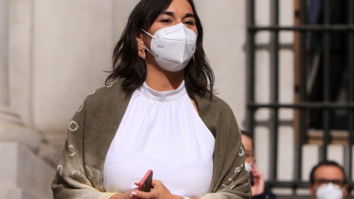 Siches se disculpa ante molestias en Argentina por palabra Wallmapu: 