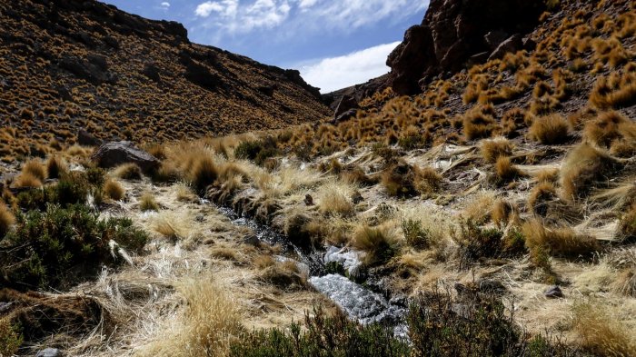 Las aguas del río Silala: Cuál es la postura de Chile frente a la demanda contra Bolivia en La Haya