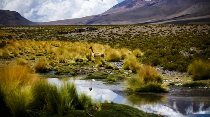 Chile asegura que Bolivia se ha retractado de reivindicaciones sobre Silala