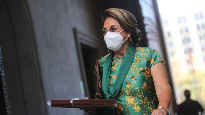 Del Tricel al TC: PDG postula a Carmen Gloria Valladares en inédita designación