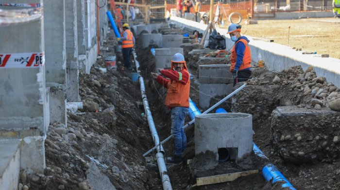 Descartan que osamentas halladas en Estadio Nacional sean de origen humano