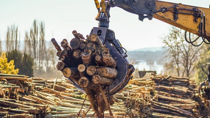 Productores de madera responden al Pdte. Boric: Aseguran que en la macrozona sur 