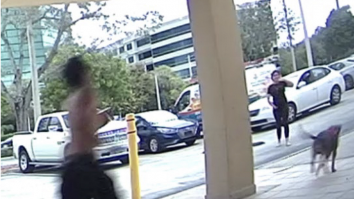 Buscan a ladrón que utilizaba a su perro para atacar y robar a la salida de los bancos