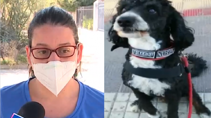 Acusa discriminación: Denuncia que universidad no la deja asistir con su perro de asistencia emocional