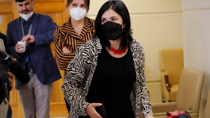 Karol Cariola pide al gobierno 