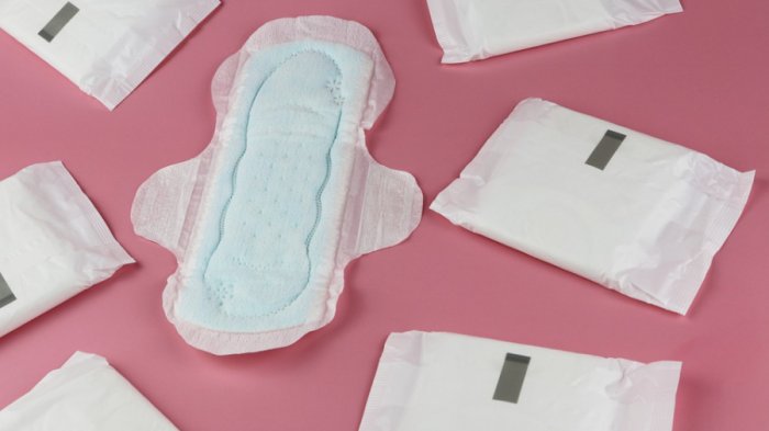 Sala de la Cámara Baja aprueba en general proyecto que garantiza derechos de personas menstruantes