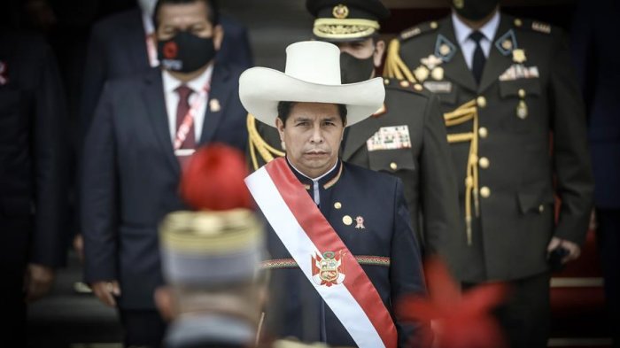 Presidente de Perú plantea la castración química para violadores de menores de edad: 